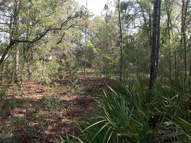 6415 Norman St, Webster, FL 33597