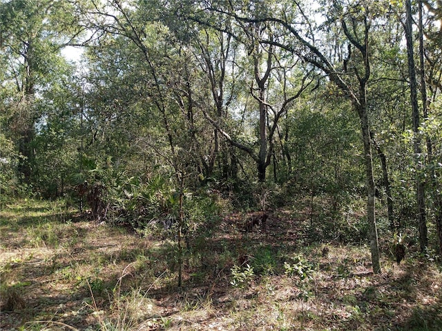 6415 Norman St, Webster, FL 33597