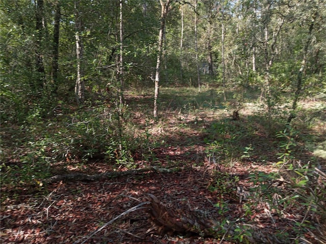 6415 Norman St, Webster, FL 33597