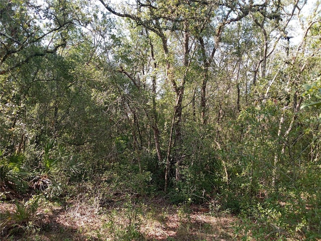 6415 Norman St, Webster, FL 33597