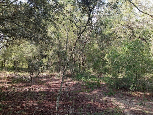 6415 Norman St, Webster, FL 33597