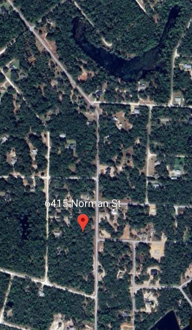 6415 Norman St, Webster, FL 33597