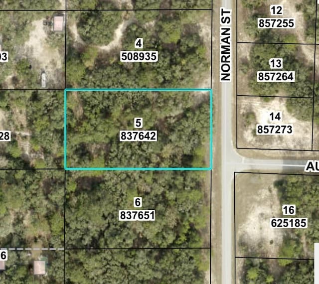 6415 Norman St, Webster, FL 33597