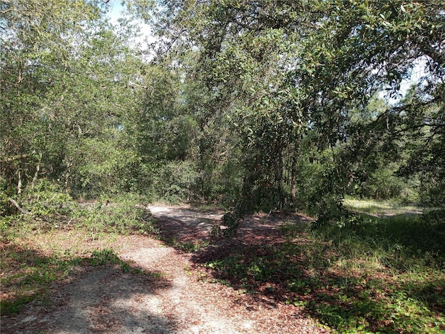 6397 Norman St, Webster, FL 33597