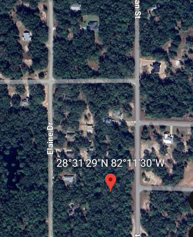 6397 Norman St, Webster, FL 33597
