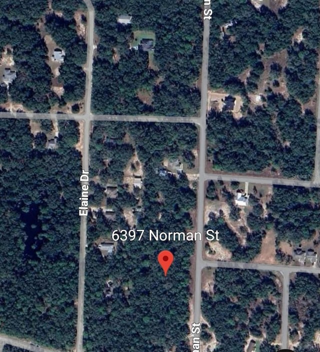 6397 Norman St, Webster, FL 33597