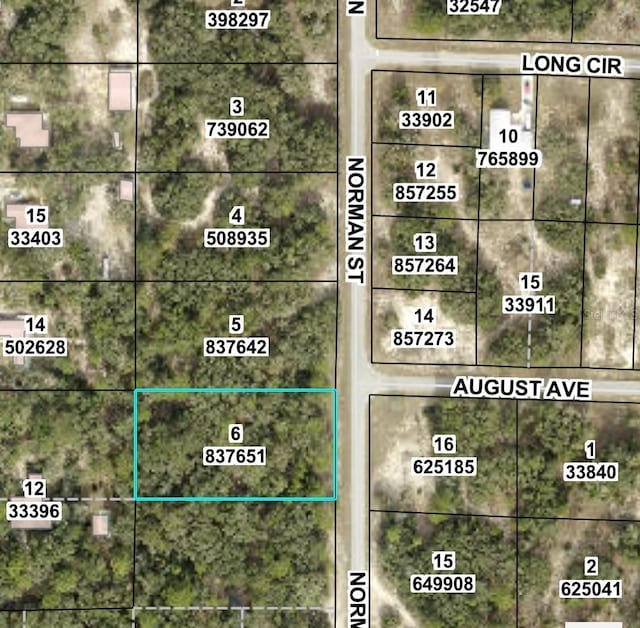 6397 Norman St, Webster, FL 33597