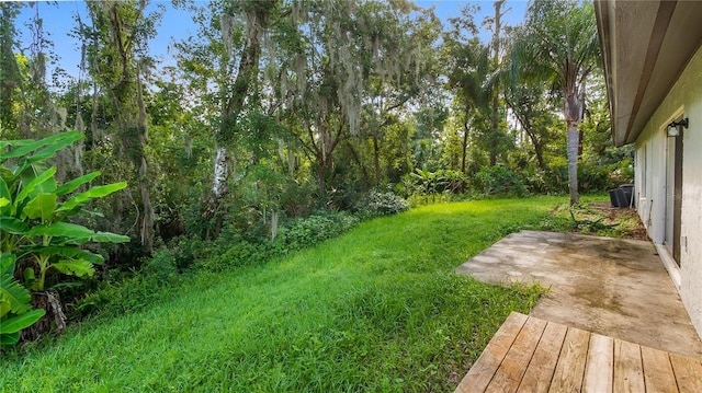 15925 Summit Ct, Clermont, FL 34711 - view of green lawn featuring a patio area