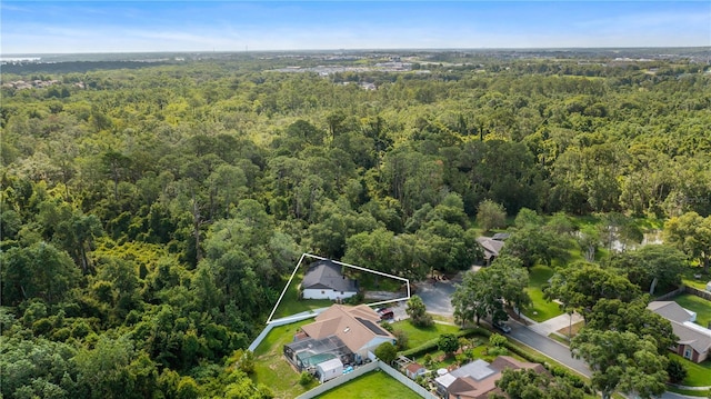 15925 Summit Ct, Clermont, FL 34711 - aerial view of residential area with a heavily wooded area and property boundaries highlighted