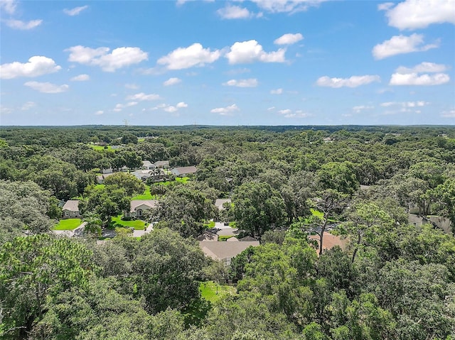 4300 Leafway Cir, Leesburg, FL 34748 - aerial view of a heavily wooded area