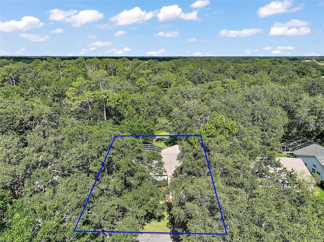 4300 Leafway Cir, Leesburg, FL 34748 - aerial overview of property's location with a heavily wooded area and property parcel outlined