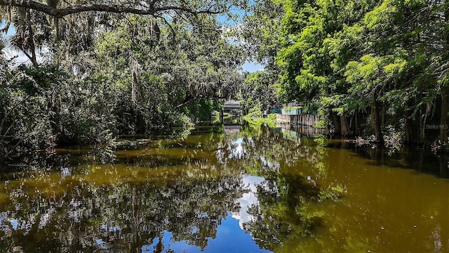 16318, 16250 County Road 448, Mount Dora, FL 32757 - photo 12