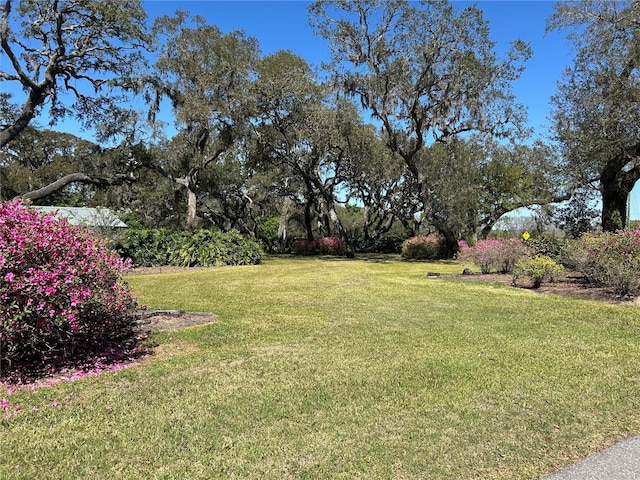 16318, 16250 County Road 448, Mount Dora, FL 32757 - photo 74