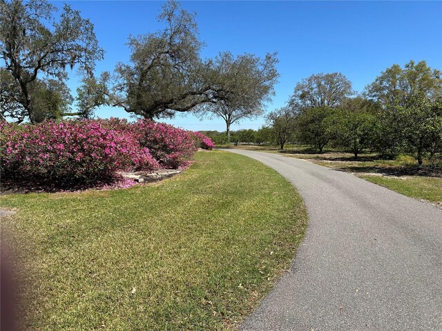 16318, 16250 County Road 448, Mount Dora, FL 32757 - photo 76