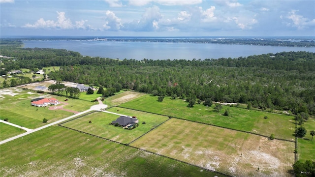 29222 Can Do Ln, Tavares, FL 32778 - aerial view of a large body of water and a forest