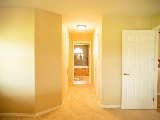 29222 Can Do Ln, Tavares, FL 32778 - corridor featuring light carpet and baseboards