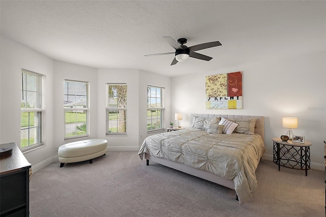 10363 Addison Shore Way, Oxford, FL 34484 - carpeted bedroom with multiple windows, ceiling fan, and a textured ceiling