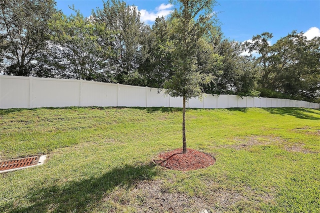 10363 Addison Shore Way, Oxford, FL 34484 - view of yard