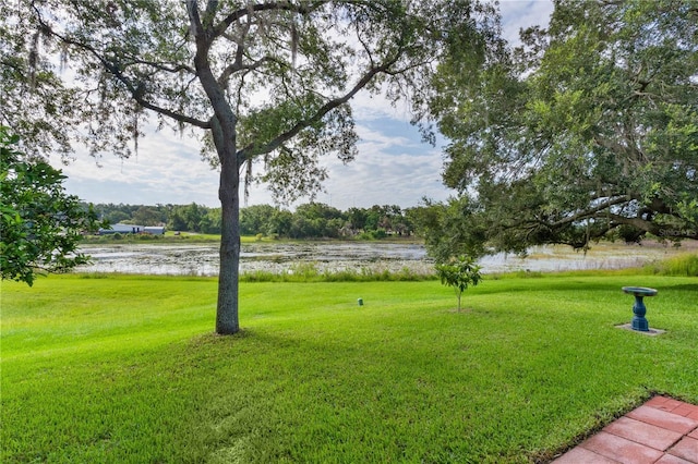 24954 Navel Ave, Leesburg, FL 34748 - photo 5