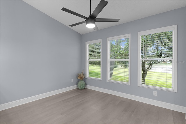 24954 Navel Ave, Leesburg, FL 34748 - photo 14