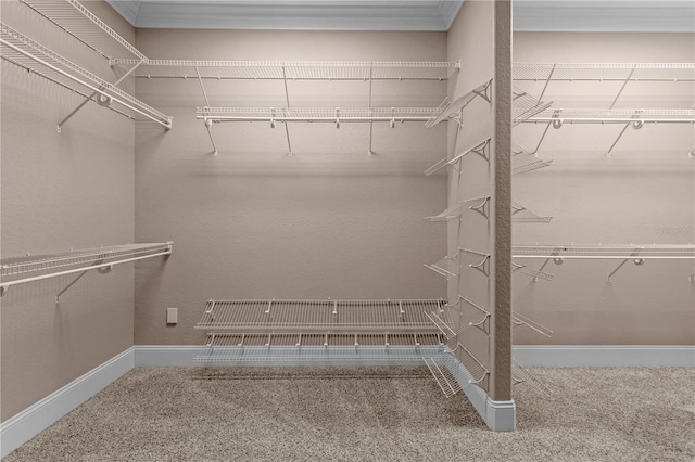 1325 Otters View Ct, Fruitland Park, FL 34731 - walk in closet featuring carpet floors