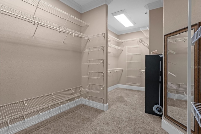 1325 Otters View Ct, Fruitland Park, FL 34731 - walk in closet with carpet flooring