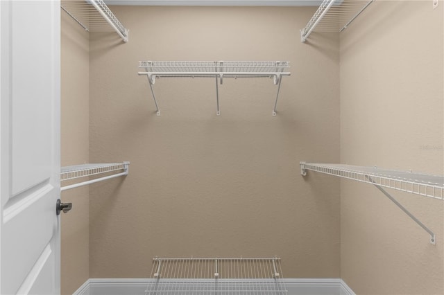 1325 Otters View Ct, Fruitland Park, FL 34731 - view of walk in closet