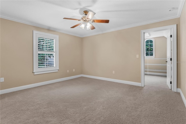 1325 Otters View Ct, Fruitland Park, FL 34731 - carpeted empty room with ceiling fan and crown molding