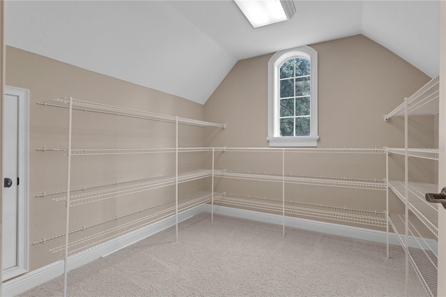 1325 Otters View Ct, Fruitland Park, FL 34731 - walk in closet with vaulted ceiling and carpet