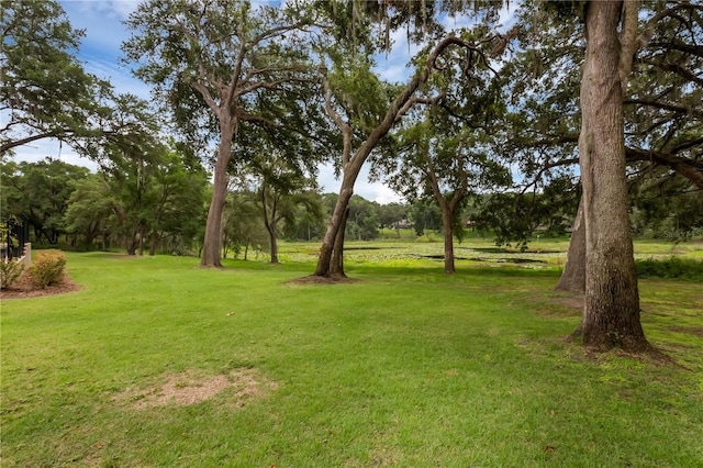 1325 Otters View Ct, Fruitland Park, FL 34731 - view of grassy yard