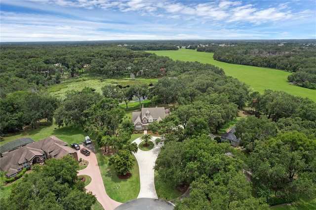 1325 Otters View Ct, Fruitland Park, FL 34731 - aerial view of a heavily wooded area