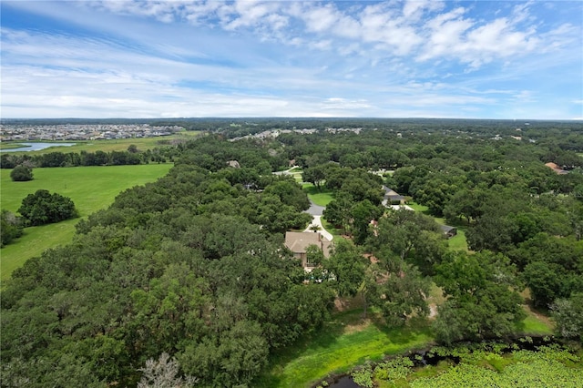 1325 Otters View Ct, Fruitland Park, FL 34731 - bird's eye view of a heavily wooded area