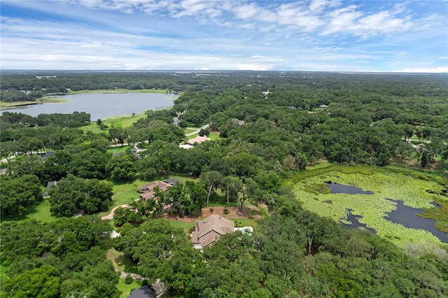 1325 Otters View Ct, Fruitland Park, FL 34731 - drone / aerial view of a nearby body of water