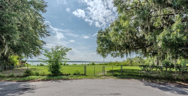LOT6 Crk 463, Lake Panasoffkee, FL 33538