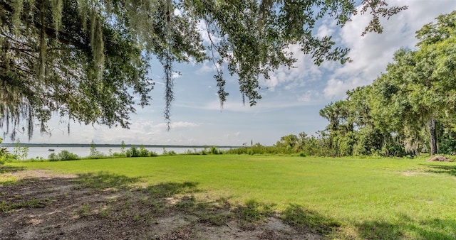 LOT6 Crk 463, Lake Panasoffkee, FL 33538