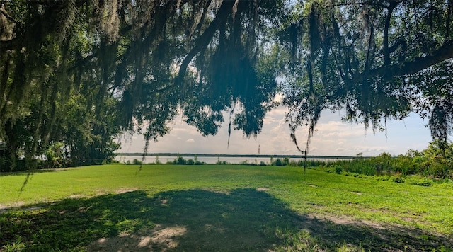 LOT6 Crk 463, Lake Panasoffkee, FL 33538
