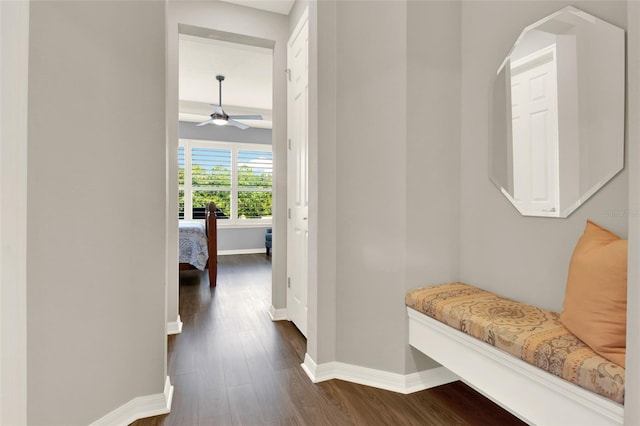 446 Treviso Dr, Kissimmee, FL 34759 - photo 24