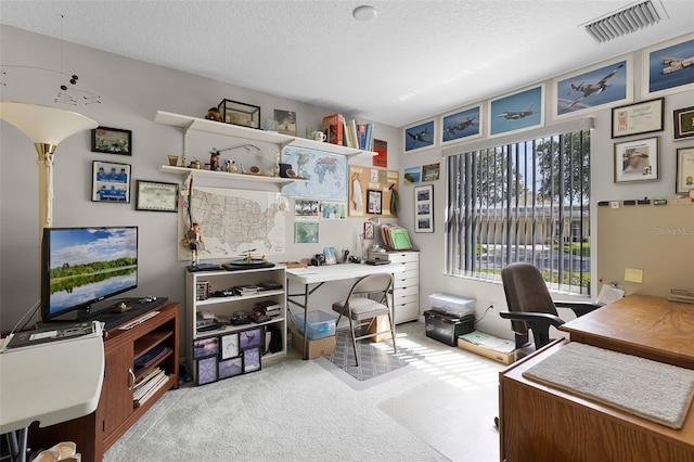 5620 Illumination Ln, Leesburg, FL 34748 - office area featuring carpet floors and a textured ceiling