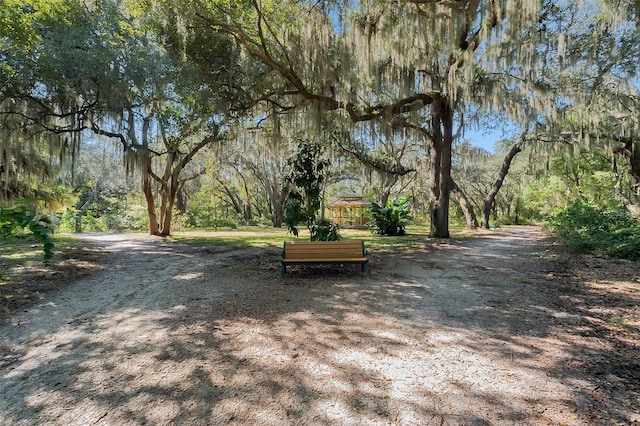 5620 Illumination Ln, Leesburg, FL 34748 - view of home's community