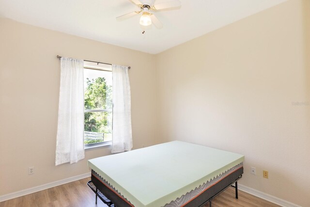 32025 Timberlake Dr, Mount Dora, FL 32757 - photo 23