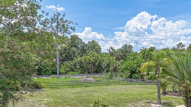 32025 Timberlake Dr, Mount Dora, FL 32757 - photo 44