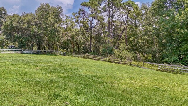 32025 Timberlake Dr, Mount Dora, FL 32757 - photo 45