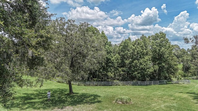32025 Timberlake Dr, Mount Dora, FL 32757 - photo 50