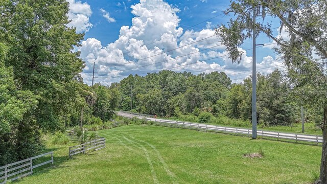 32025 Timberlake Dr, Mount Dora, FL 32757 - photo 51