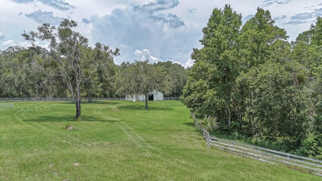 32025 Timberlake Dr, Mount Dora, FL 32757 - photo 52