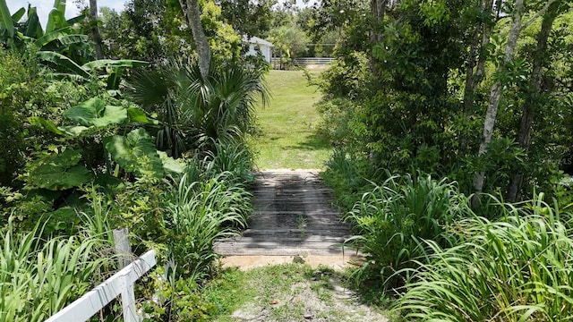 32025 Timberlake Dr, Mount Dora, FL 32757 - photo 54