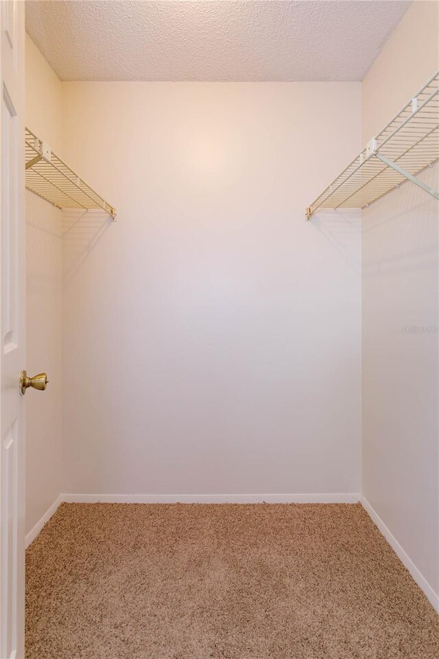 12 Windtree Ln Unit 202, Winter Garden, FL 34787 - photo 14