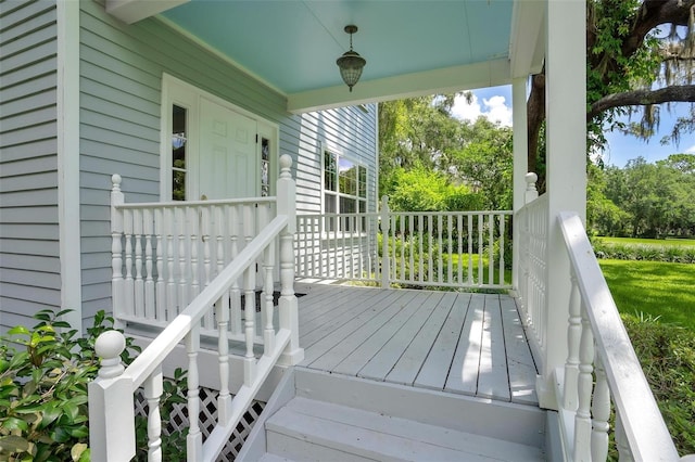 9223 Silver Lake Dr, Leesburg, FL 34788 - view of porch
