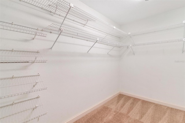 9223 Silver Lake Dr, Leesburg, FL 34788 - spacious closet featuring light carpet
