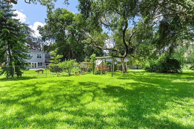 9223 Silver Lake Dr, Leesburg, FL 34788 - view of yard